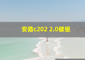 安踏c202 2.0碳板